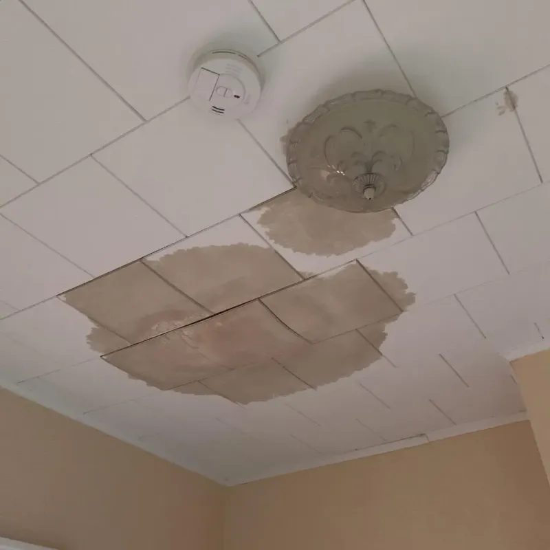 Ceiling Water Damage Repair in Phippsburg, ME